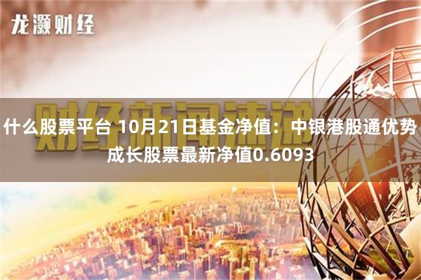 什么股票平台 10月21日基金净值：中银港股通优势成长股票最新净值0.6093