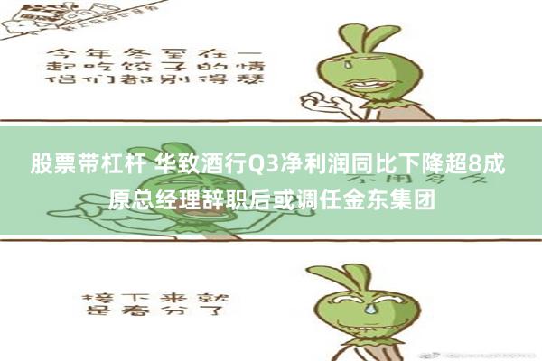 股票带杠杆 华致酒行Q3净利润同比下降超8成 原总经理辞职后或调任金东集团