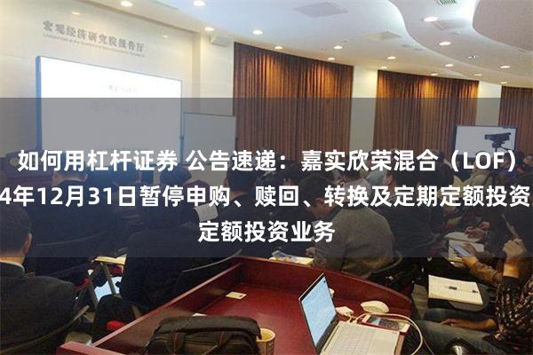 如何用杠杆证券 公告速递：嘉实欣荣混合（LOF）2024年12月31日暂停申购、赎回、转换及定期定额投资业务