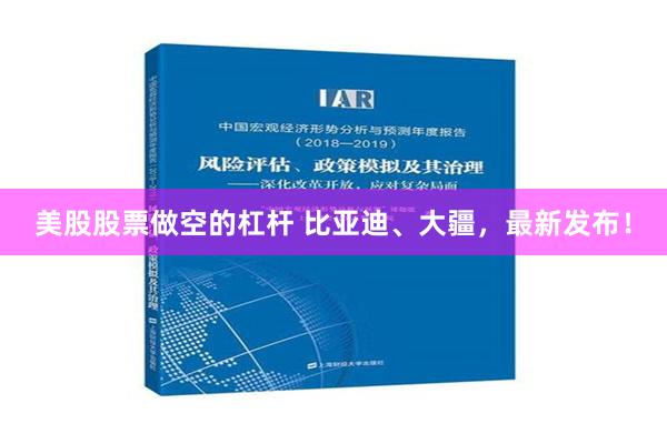 美股股票做空的杠杆 比亚迪、大疆，最新发布！